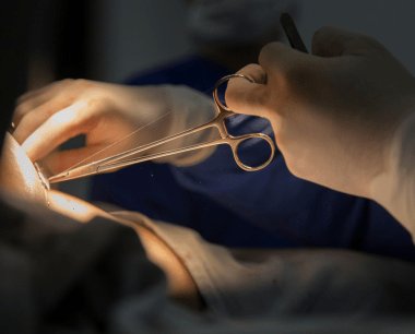 V y VI curso de actualizacin en sutura laparoscpica
