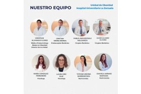 Obesidad HULZ cuadro medico